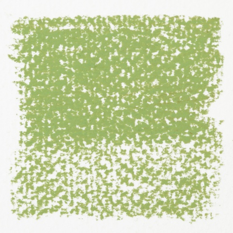 Rembrandt Soft Pastel Olive Green 620.8 Rembrandt Soft Pastel Olive Green 620.8