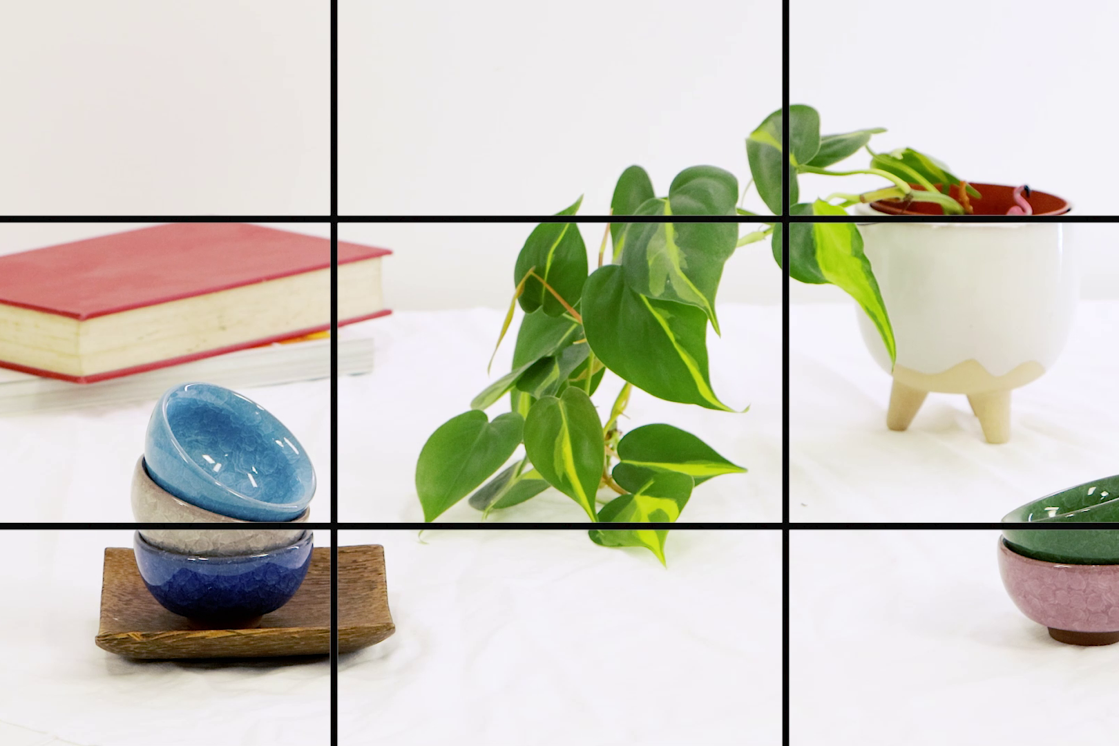 Grid overlaid on still like composition with plant, books, and bowls